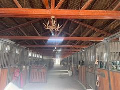 -北京群众马术培训基地