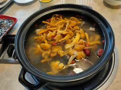 -蘑统田下·野生菌火锅