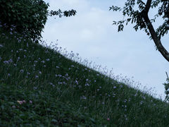 -重庆平顶山公园