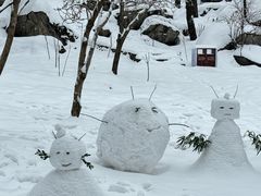 -秦岭终南山世界地质公园翠华山景区