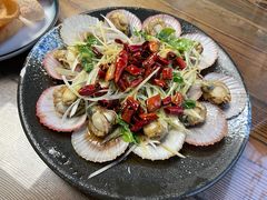 -鲁前海沿儿