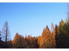 -山王坪喀斯特国家生态公园