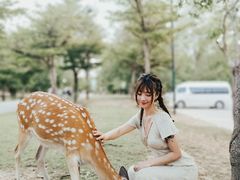 -清迈夜间动物园