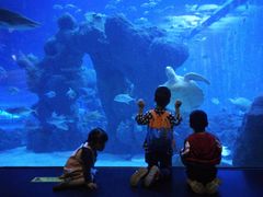 -成都浩海立方海洋公园