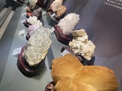 -湖南省地质博物馆