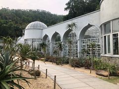 -深圳仙湖植物园-停车场