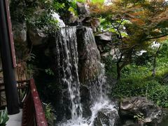 -苏苑饭店-中餐厅(长桥地区店)