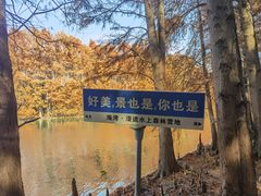 -上海海湾国家森林公园