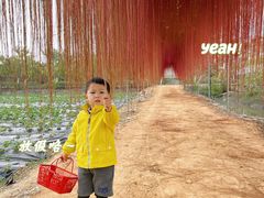 -尚果生态采摘园