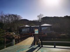 -白马涧龙池景区