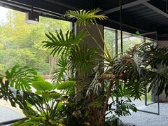 -J Create城市露营咖啡·简餐·宠物(上海动物园店)