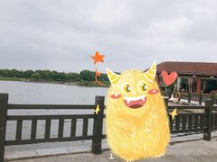 -上海都市菜园