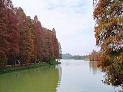 -星湖旅游景区七星岩