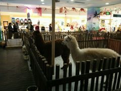 -开元商城(西旺店)