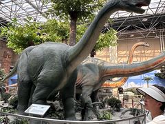 -国家自然博物馆