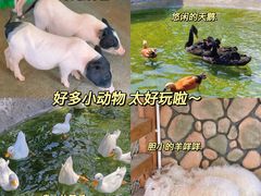 -珠海海泉湾神秘岛亲子乐园