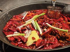 -朱光玉火锅馆(龙阳广场店)
