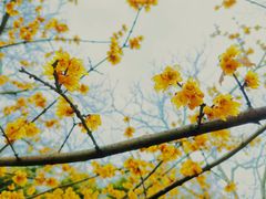 -镇江市南山风景名胜区竹林景区