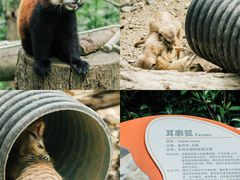 -杭州少年儿童公园