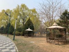 -朝阳公园体育中心