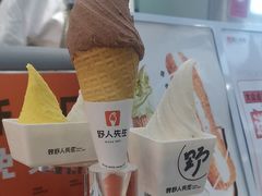 -野人先生现做冰淇淋(西安赛格店)