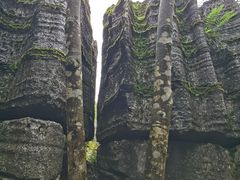 -梭布垭石林景区