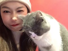 -猫色咖啡·猫咖