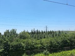 -洛阳龙门站