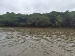 -东寨港红树林旅游区