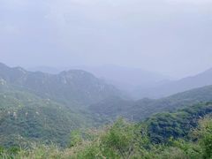-大岭沟猕猴桃谷风景区