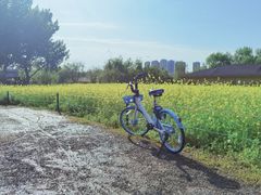 -长白岛森林公园