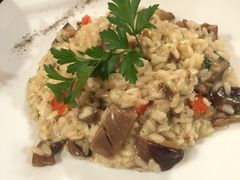 -Vito’s Roma