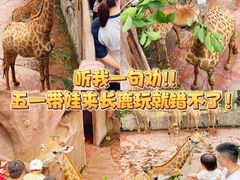 -长鹿旅游休博园