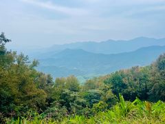 -广州市石门国家森林公园
