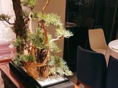 -顺峰(农展馆店)