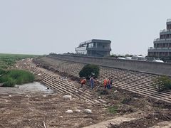 -南汇嘴观海公园