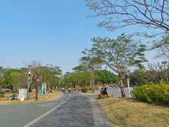 -王借岗森林公园