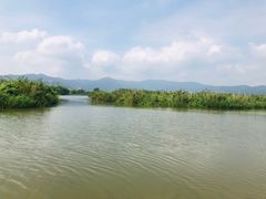 -长兴太湖图影湿地文化园