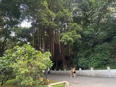 -晓港公园