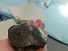 -爱侣宠医·鹦鹉专科·小型哺乳类·异宠专科(灵石路店)