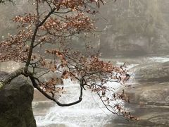 -庐山碧龙潭风景区
