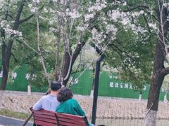 -西北湖绿化广场