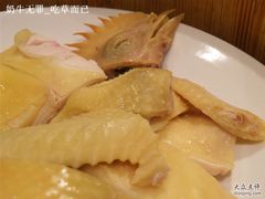 清远鸡特写2-御花园·粤菜·海鲜火锅(中山公园店)