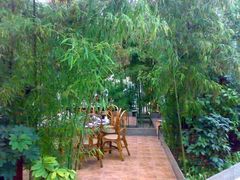 庭院深深-绿色时代大酒店