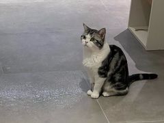 -美美宠物诊疗中心·异宠·骨科(滨江东信分院)