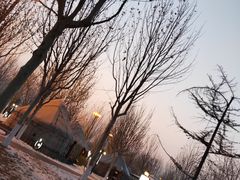 -九十九顶毡房(阜石路店)