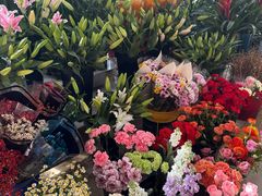 -保定市花鸟鱼虫市场