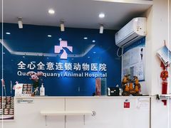 -全心全意连锁动物医院·微创中心·内科急重症·心脏专科(丰管路店)