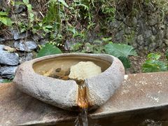 -韶关经律论国际酒店温泉