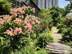 -荔香公园